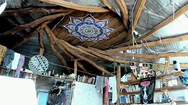 wildforestmuse  online show from 07-26-26, 06:31