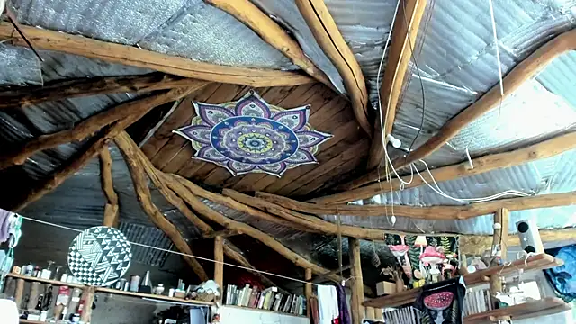 wildforestmuse  online show from 07-08-26, 06:14