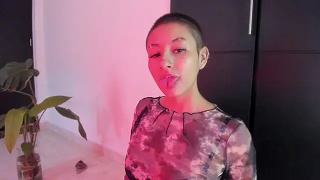 vandalovee  online show from 06-13-26, 02:48