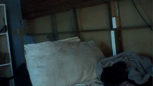 Camodick online show from 12-02-25, 08:49