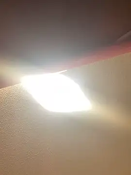 allyroseeee online show from 05-14-26, 05:37