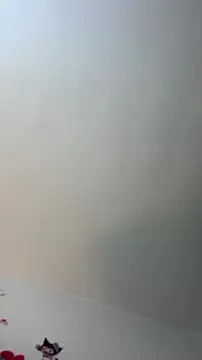 Eilicarver online show from 07-04-26, 12:43