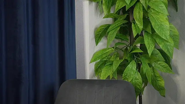 MandieLegum online show from 05-12-26, 05:37