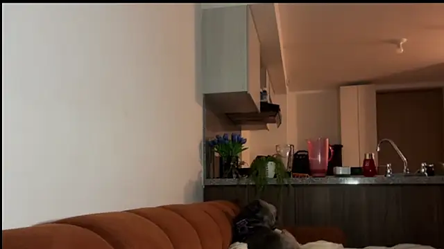 niah 11 online show from 05-19-26, 11:34