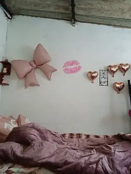 mileidy0106 online show from 07-04-26, 01:37