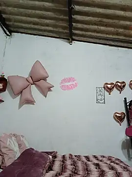 mileidy0106 online show from 06-25-26, 02:31