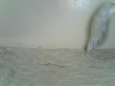 Sexxyfrey online show from 06-29-26, 05:47