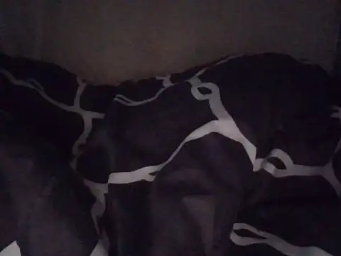 fatpusy002 online show from 06-26-26, 03:45