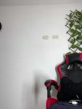 NelModel1 online show from 06-04-26, 11:48