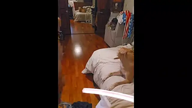 Clevername90 online show from 10-26-25, 01:50