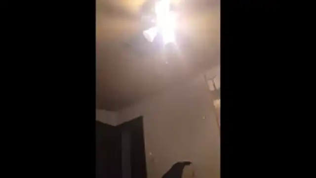 Clevername90 online show from 11-25-25, 11:05