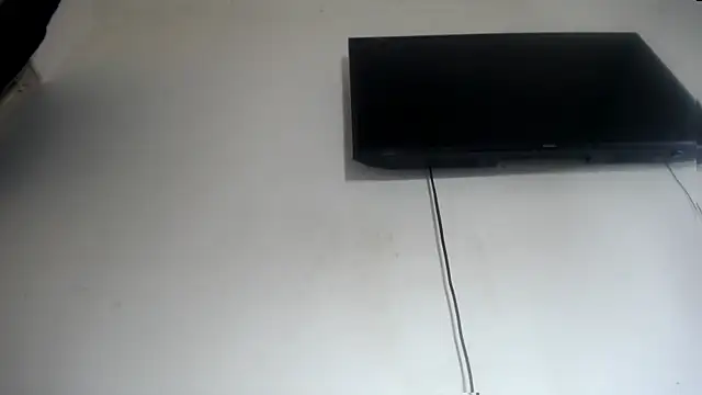 Fox Loves online show from 07-15-26, 10:28