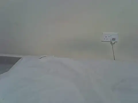 berrynova online show from 05-29-26, 04:57