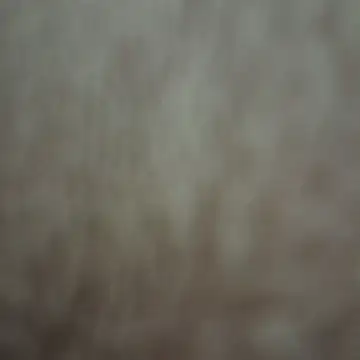 xandria09 online show from 05-26-26, 01:58