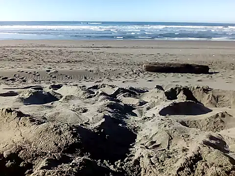 dog-naked online show from 01-22-25, 10:26