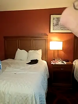 Snapshot of Wild_dude chatting on 03-19-26, 03:06 Wild dude online show from 03-19-26, 03:06