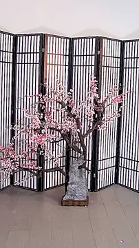 Snapshot of ouyanyan chatting on 05-26-26, 12:14 ouyanyan online show from 05-26-26, 12:14