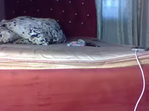 biggest black cock online show from 06-25-26, 02:22