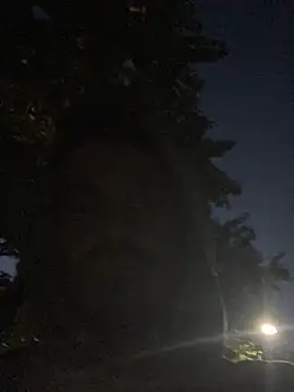 YoungBigWhiteCockGuy online show from 06-02-26, 03:39
