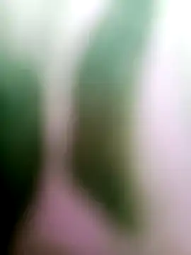 Snapshot of Cut_means47 chatting on 07-05-26, 01:54 Cut means47 online show from 07-05-26, 01:54