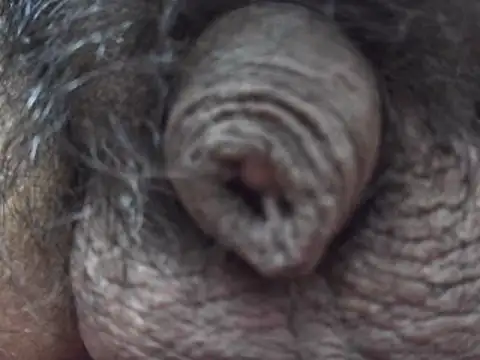 Snapshot of indiboy009 chatting on 03-07-25, 03:18 indiboy009 online show from 03-07-25, 03:18