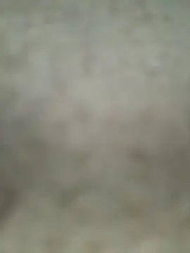 Erexsean66 online show from 06-04-26, 01:38