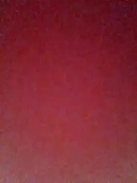 pricilanunes online show from 07-06-26, 11:39