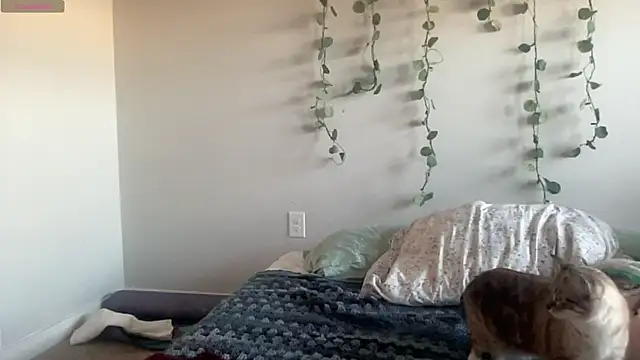 maddiliz online show from 11-27-25, 09:48