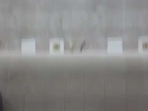 Snapshot of hey_darling_ chatting on 06-12-26, 01:09 hey darling online show from 06-12-26, 01:09