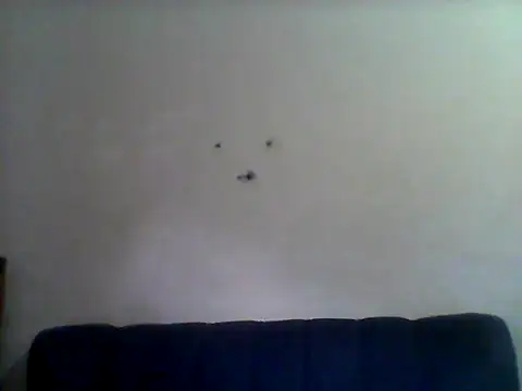 Angelbee  online show from 07-27-26, 06:42