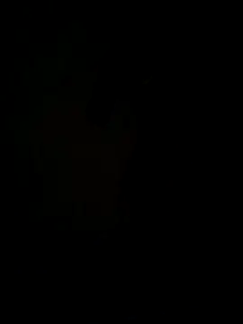 hook9sex online show from 06-11-26, 04:53