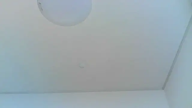 yoci0101 online show from 06-29-26, 04:39