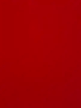 Rosa5 lona online show from 06-16-26, 12:43