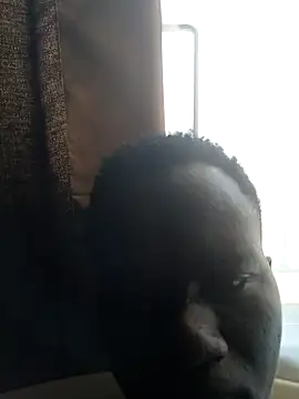 Darkfaruk online show from 06-21-26, 11:16