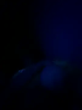 Felicxz online show from 06-17-26, 02:22