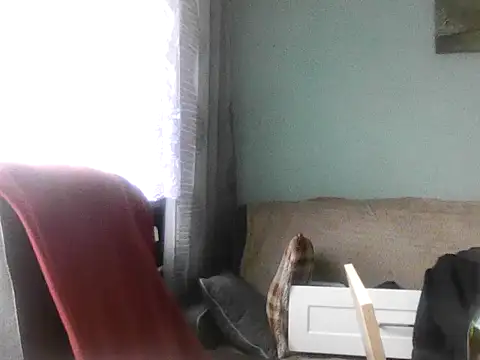 RafalekRozmarynowski81 online show from 07-13-26, 07:29