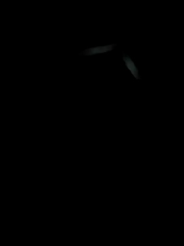butterfly-6 9 online show from 07-04-26, 04:11