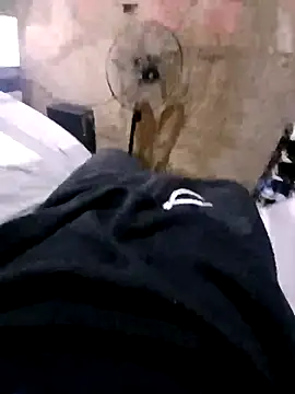 Ricapajarica online show from 01-14-26, 03:15