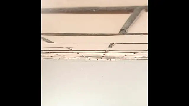 Snapshot of IronicBuckle chatting on 07-02-26, 03:23 IronicBuckle online show from 07-02-26, 03:23