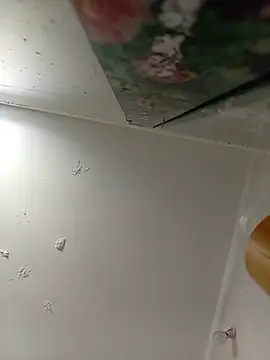 -milk-milk online show from 07-25-26, 05:48