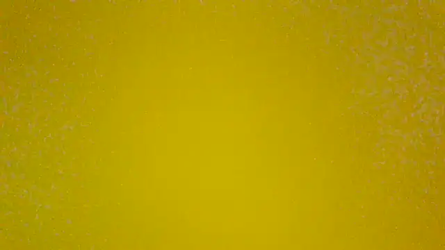Snapshot of PinguinaTraviesa chatting on 06-19-26, 04:02 PinguinaTraviesa online show from 06-19-26, 04:02