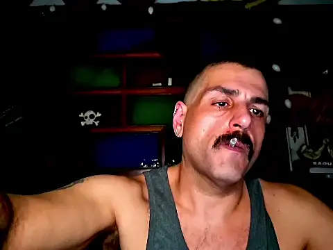 BrunoAlphaBR online show from 08-05-26, 08:47