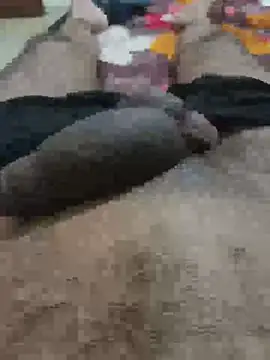 Daddycock 24 online show from 06-20-26, 02:22