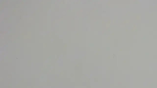 arianagreenn online show from 07-02-26, 10:49