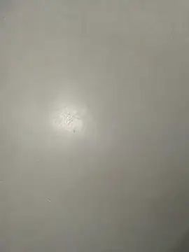 nasty-sexygal online show from 07-01-26, 04:51