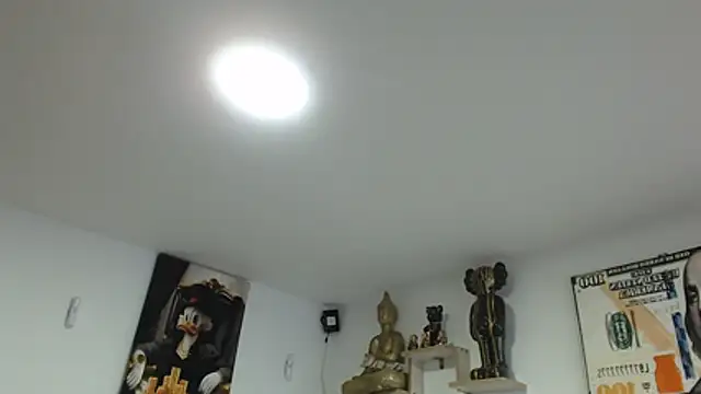 Novaluxee online show from 07-21-26, 11:17
