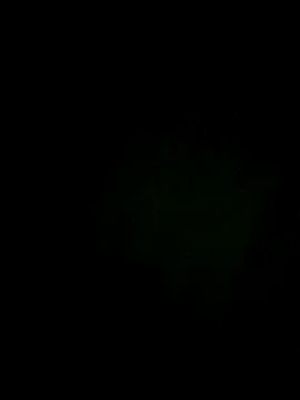 Melhordosite online show from 07-15-26, 05:53