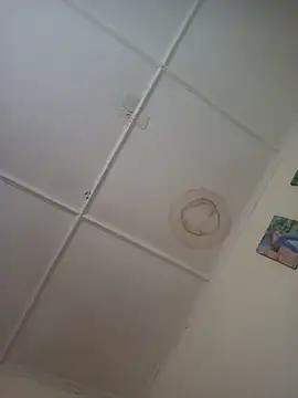 Cuppon001 online show from 08-04-26, 02:10