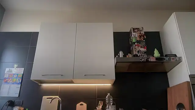 theitalianbear online show from 01-10-26, 09:15