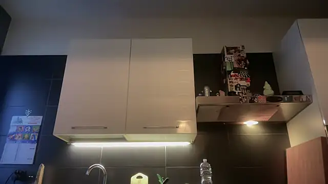 theitalianbear online show from 01-07-26, 02:55